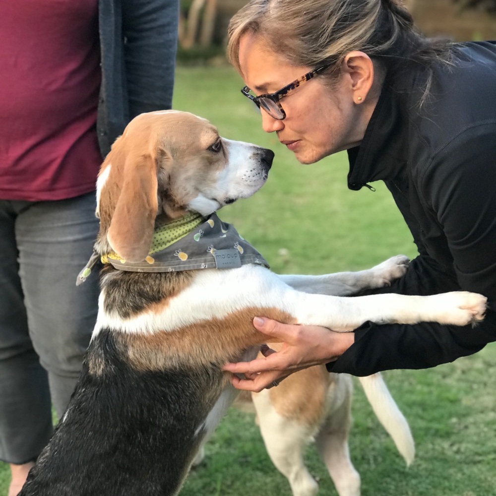 Meet your Posher, Nancy